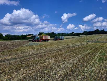 Bioenergie Trent - Harvest 2024