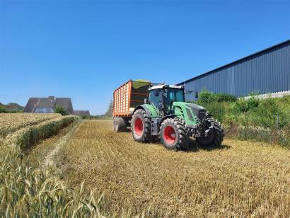 Bioenergie Trent - Harvest 2024