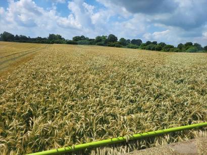 Bioenergie Trent - Harvest 2024