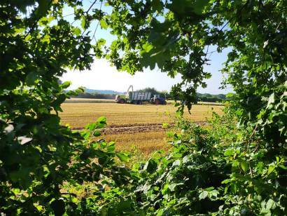 Bioenergie Trent - Harvest 2024