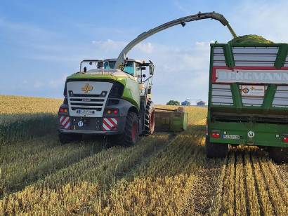 Bioenergie Trent - Harvest 2024