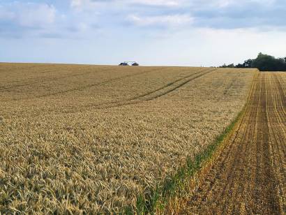 Bioenergie Trent - Ernte 2024