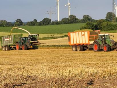 Bioenergie Trent - Harvest 2024